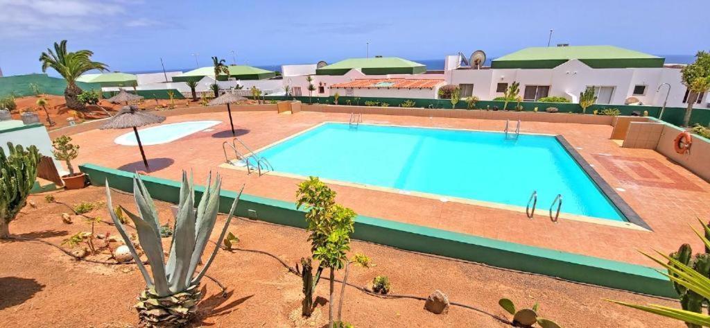 Dos Gatos Fuertaventura Villa Caleta De Fuste Dış mekan fotoğraf